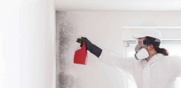 Best Mold Testing and Inspection Services in , AK