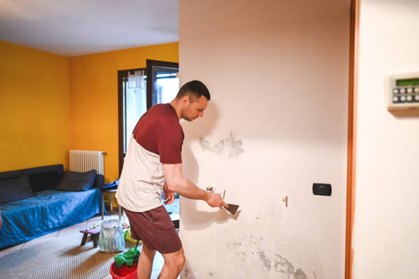 Best Industrial Mold Remediation in , AK